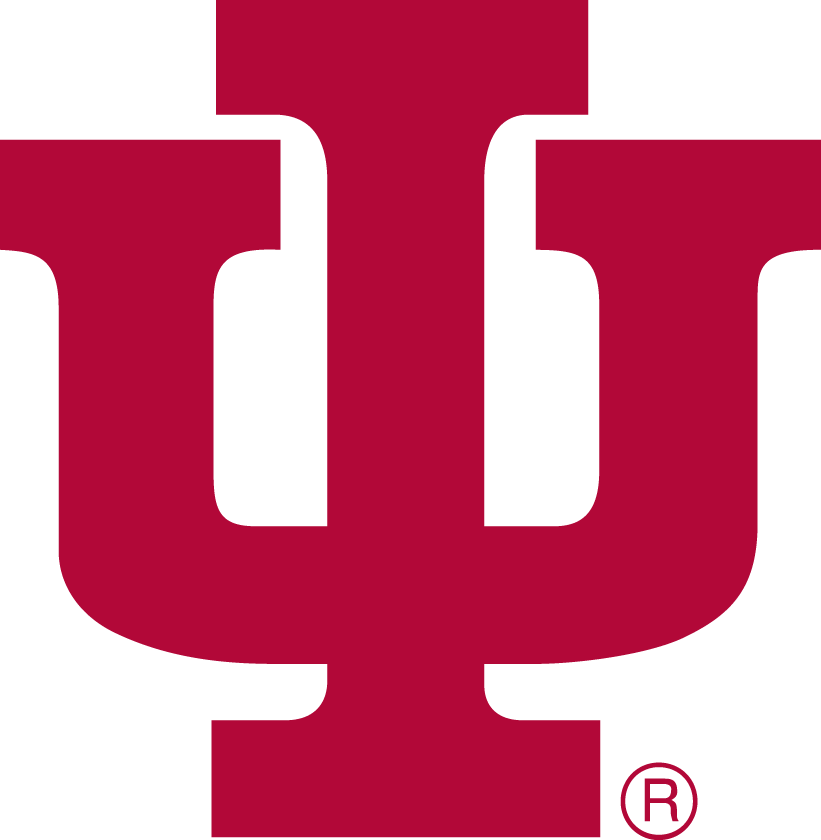 Indiana Hoosiers 1976-1981 Primary Logo iron on transfers for fabric